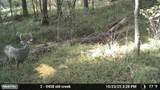  Union Church Road - Photo 7