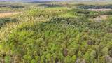 35 Acres Richard Reeves Road - Photo 10