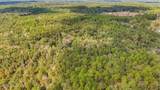 35 Acres Richard Reeves Road - Photo 11