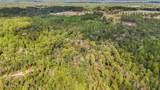35 Acres Richard Reeves Road - Photo 12