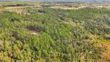 35 Acres Richard Reeves Road - Photo 14