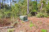 35 Acres Richard Reeves Road - Photo 16