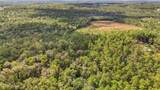 35 Acres Richard Reeves Road - Photo 7