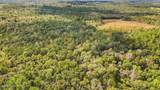 35 Acres Richard Reeves Road - Photo 8