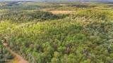 35 Acres Richard Reeves Road - Photo 9