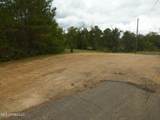 X Wild Estates Road - Photo 8