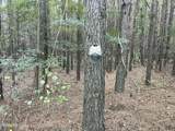  Red Water Road - Photo 12