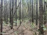  Red Water Road - Photo 6