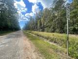 Curtis Street - Photo 3