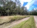  Curtis Street - Photo 4