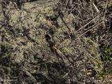  Lee Avenue - Photo 20