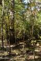 0 Jackson Liberty Drive - Photo 14