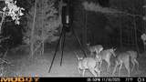 222 Byrd Road - Photo 30
