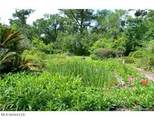 6502 Woodwards Bluff - Photo 4