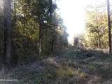  E-S Drive - Photo 15