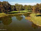 636 Livingston Vernon Road - Photo 11