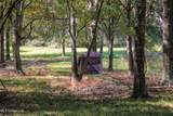 636 Livingston Vernon Road - Photo 9