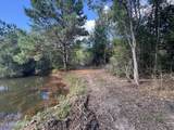 7190 Cantania Road - Photo 9