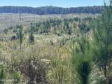  Causeyville Road - Photo 17