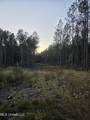  County Rd 77 - Photo 12
