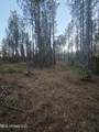  County Rd 77 - Photo 13