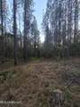  County Rd 77 - Photo 20