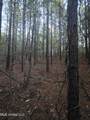  County Rd 77 - Photo 27