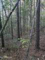  County Rd 77 - Photo 28