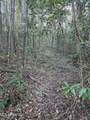  County Rd 77 - Photo 34