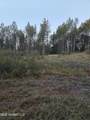  County Rd 77 - Photo 7