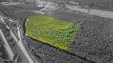  I59-Savannah Millard Road - Photo 11