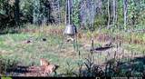 2075 County Rd 180 - Photo 12