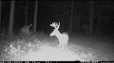 2075 County Rd 180 - Photo 14