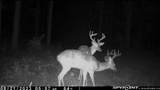 2075 County Rd 180 - Photo 17