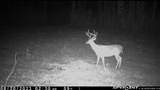 2075 County Rd 180 - Photo 21