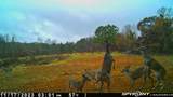 2075 County Rd 180 - Photo 24