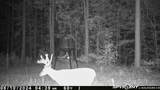 2075 County Rd 180 - Photo 27