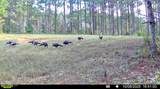 2075 County Rd 180 - Photo 3