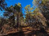 2075 County Rd 180 - Photo 39