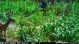 2075 County Rd 180 - Photo 5
