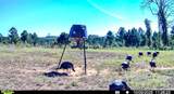 2075 County Rd 180 - Photo 6
