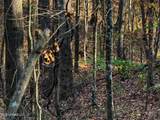 2075 County Rd 180 - Photo 61