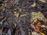 2075 County Rd 180 - Photo 75