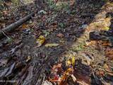 2075 County Rd 180 - Photo 76