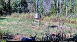 2075 County Rd 180 - Photo 79