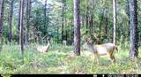 2075 County Rd 180 - Photo 8