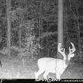 2075 County Rd 180 - Photo 9