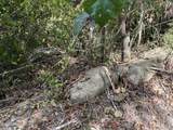 001 Farr Road - Photo 13