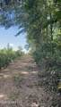 001 Farr Road - Photo 15