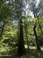 001 Farr Road - Photo 33